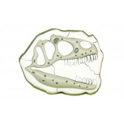 Buy CROCS Jibbitz T-Rex Skull