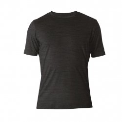 Buy REWOLUTION M'S Merino T-shirt Ss /Charcoal