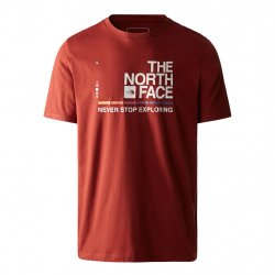 Buy THE NORTH FACE Foundation Graphic Tee Ss /brandy brown