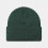 CARHARTT WIP Chase Beanie /discovery green gold