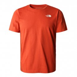 Buy THE NORTH FACE Foundation Graphic Tee /rusted bronze