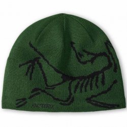 Buy ARC'TERYX Bird Head Toque /eden black