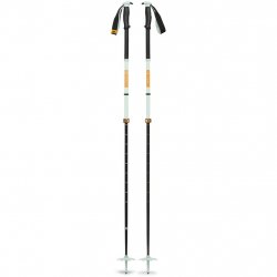 Buy BLACK DIAMOND Traverse Pro Ski Poles /foam green