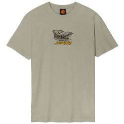 Buy SANTA CRUZ Braun Fever Dream T-Shirt /stone grey