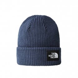 Buy THE NORTH FACE Salty Lined Beanie /shady blue