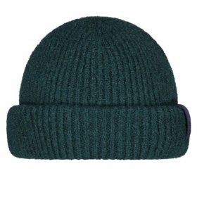 BARTS Banxs Beanie /bottle green