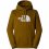 THE NORTH FACE Drew Peak Pullover Hoodie /moss green