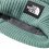 THE NORTH FACE Salty Dog Beanie /dark sage