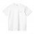 CARHARTT WIP Chase Ss Tshirt /white gold