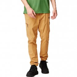 Buy PICTURE ORGANIC Alpho Pants /spruce yellow