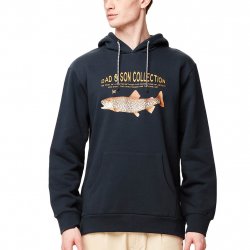 Buy PICTURE ORGANIC D&S Panther Hoodie /dark blue