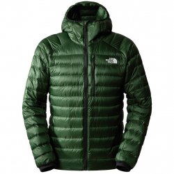 Buy THE NORTH FACE Summit Breithom Hoodie /pine needle